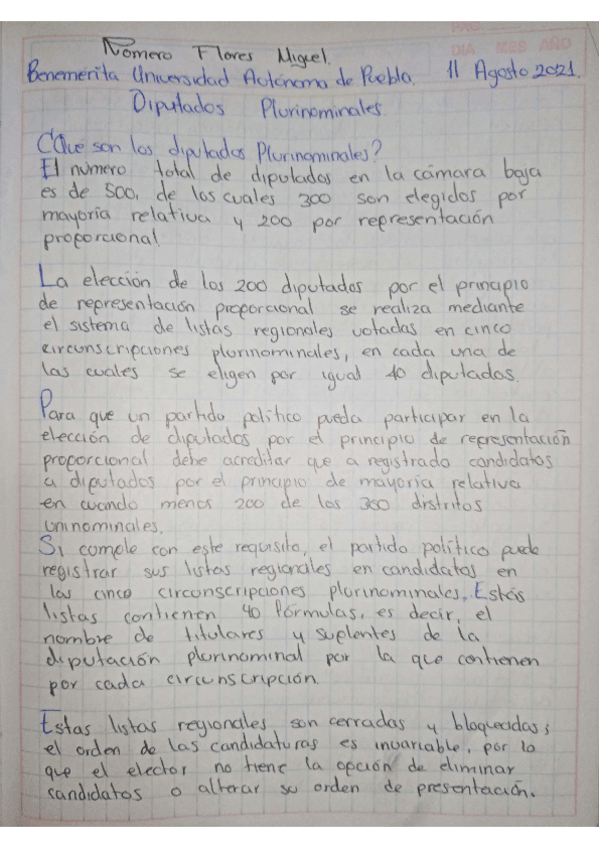 Miniatura del documento Ensayo-Plurinominal.pdf