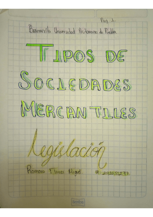 Miniatura del documento Tipos-de-Sociedades-Mercantiles.pdf