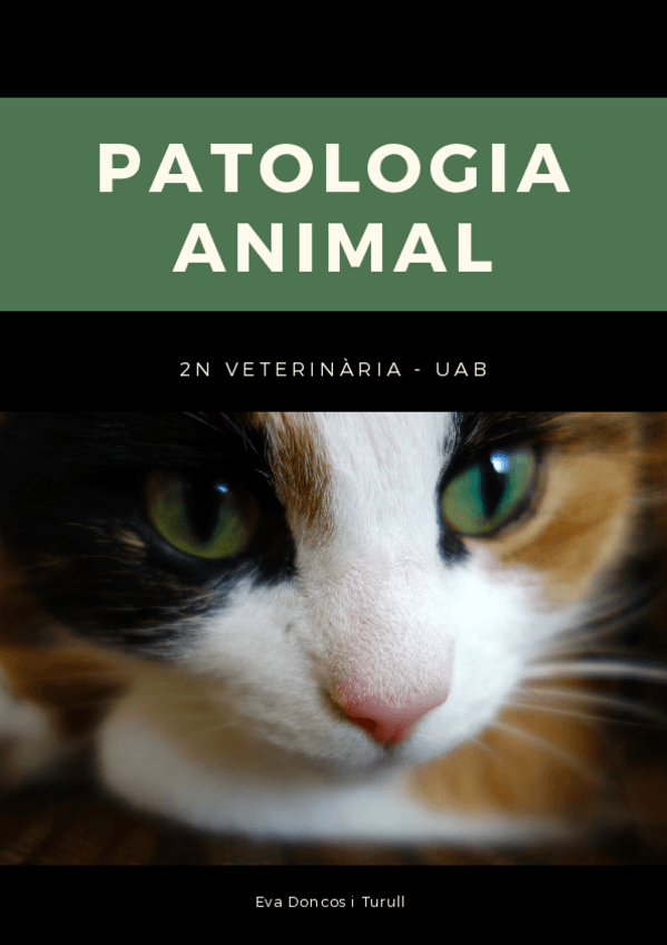 Miniatura del documento Patologia-Teoria.pdf