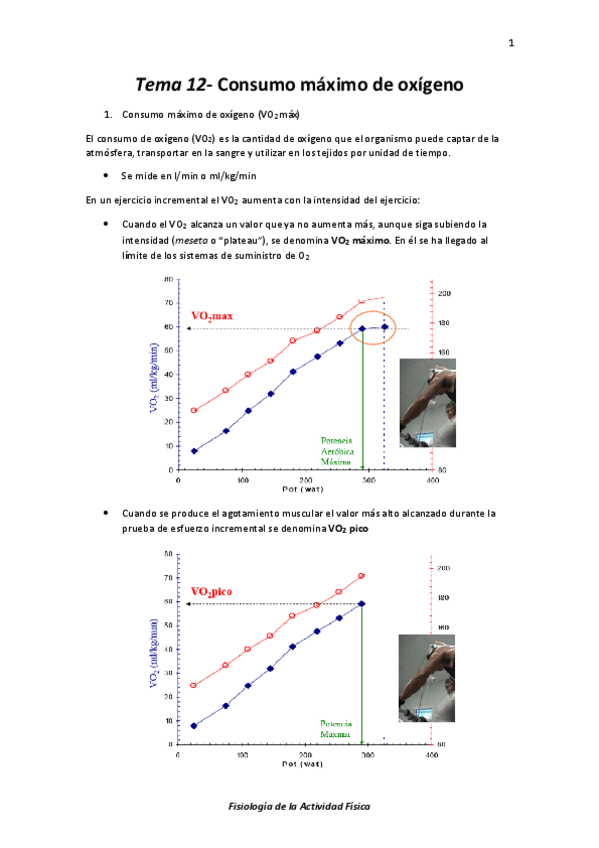 Miniatura del documento Tema 12- Consumo máximo de oxígeno.pdf