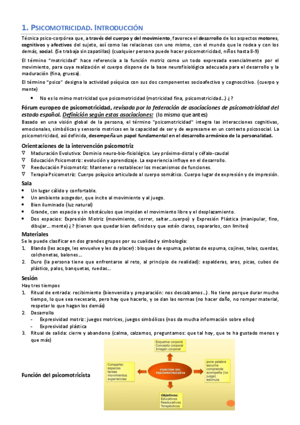 Miniatura del documento Apuntes-psicomotricidad-tete.pdf