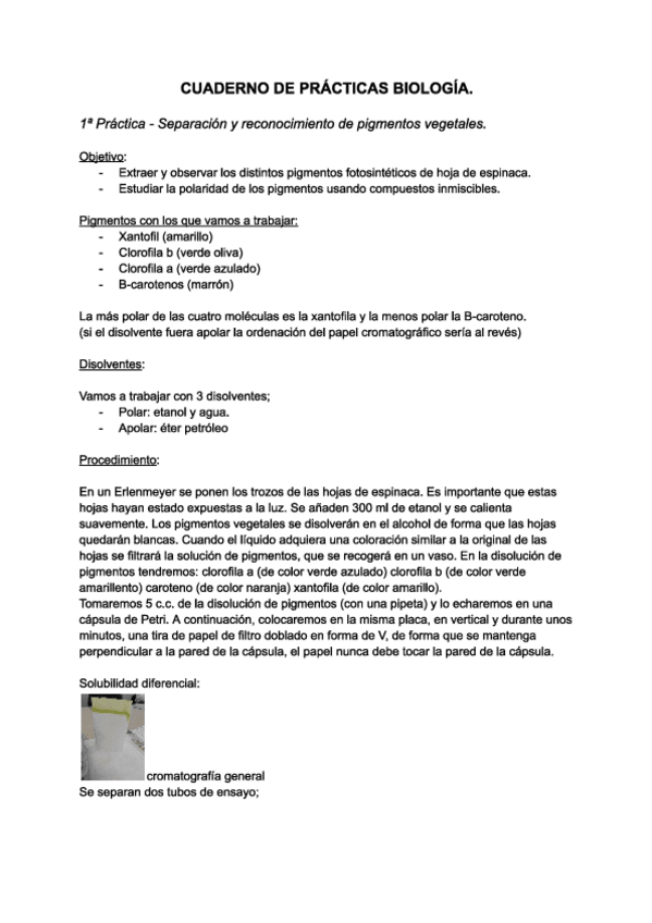 Miniatura del documento Cuaderno-de-practicas-biologia-1-cuatri.pdf