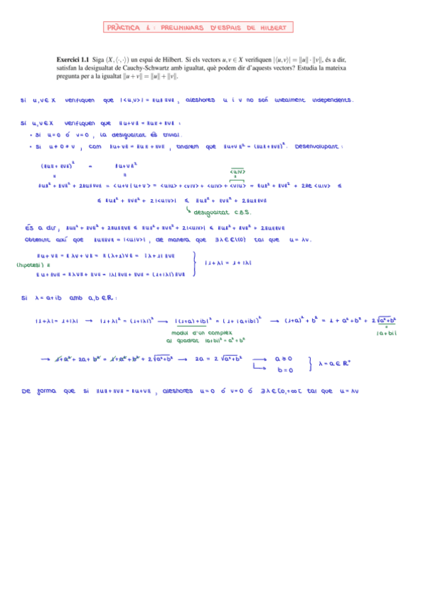Miniatura del documento Practiques-Hilbert-resueltas.pdf