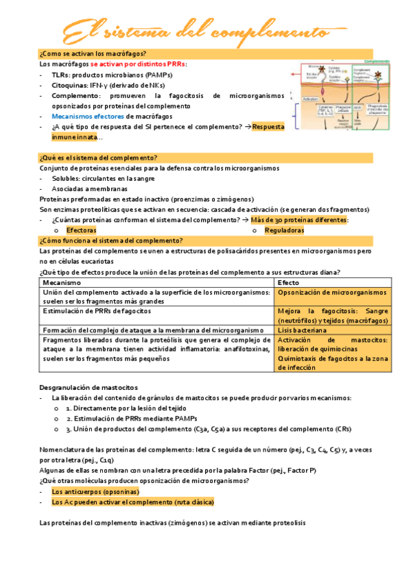 Miniatura del documento tema-3.2-inmunologia.pdf