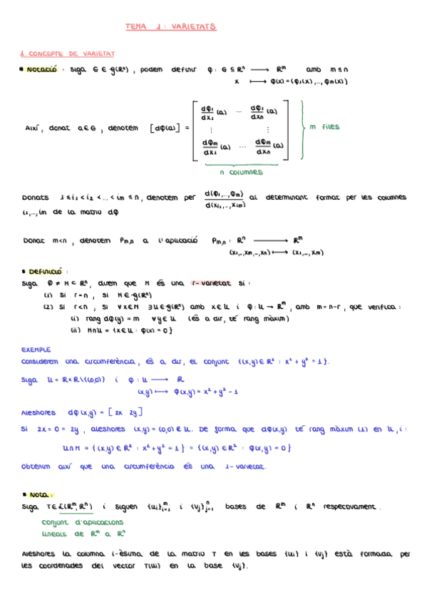 Miniatura del documento Teoria-Analisi-Vectorial.pdf