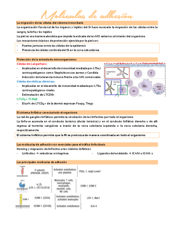 Miniatura del documento tema-3.7-inmuno.pdf