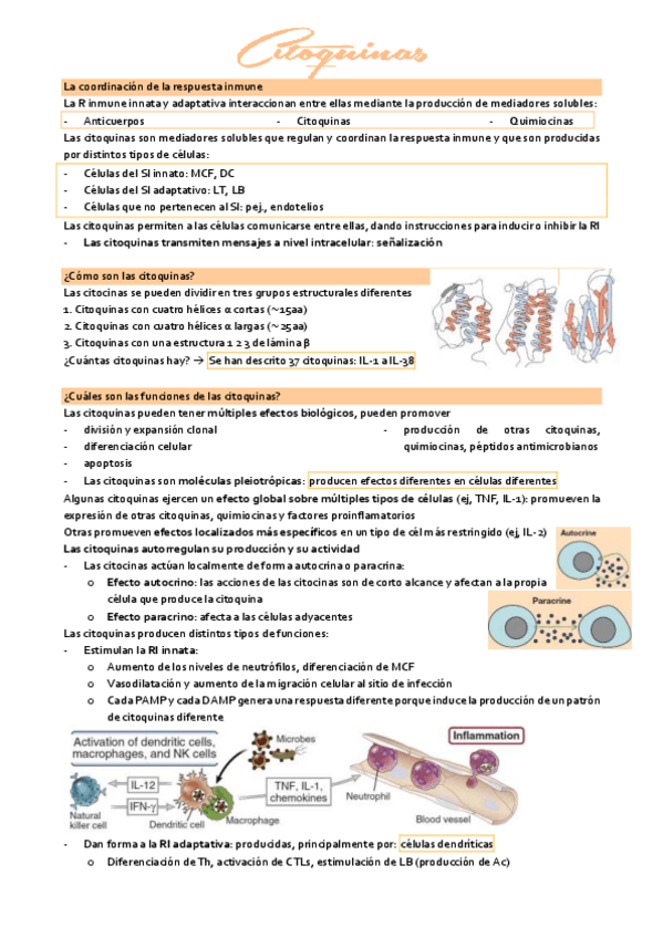 Miniatura del documento tema-3.8-inmuno.pdf
