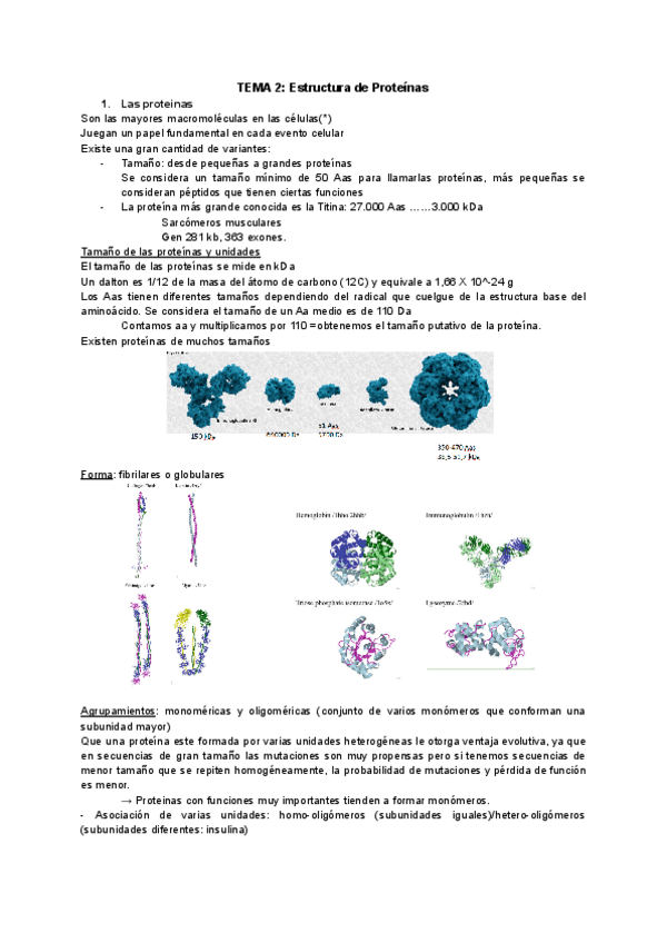 Miniatura del documento TEMA-2.pdf