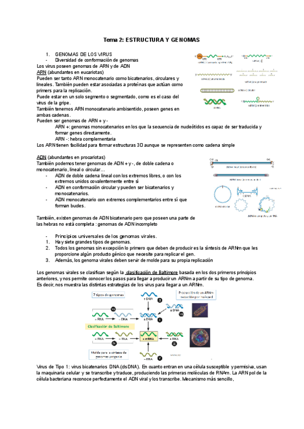 Miniatura del documento TEMA-2.pdf