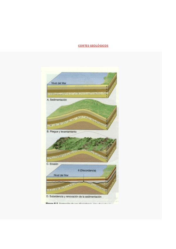 Miniatura del documento CORTES GEOLÓGICOS.pdf