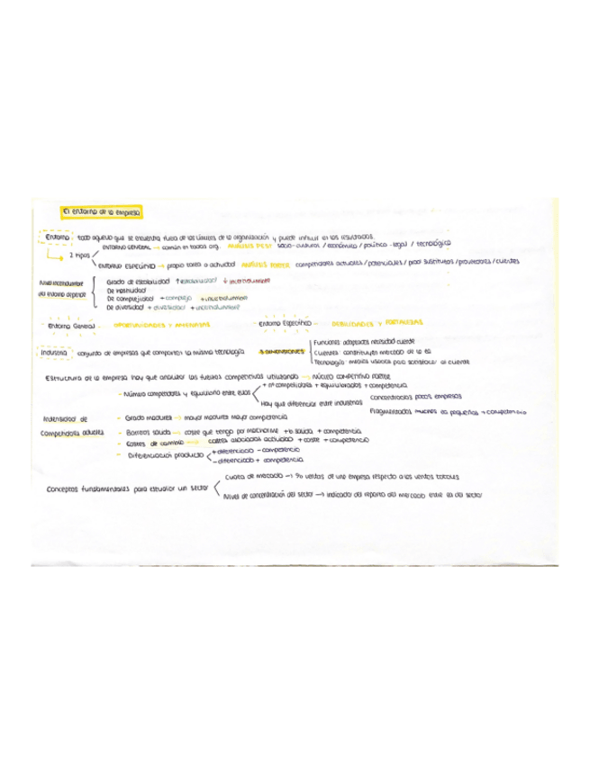 Miniatura del documento TEMA-2-DIRECCION-ESTRATEGICA.pdf