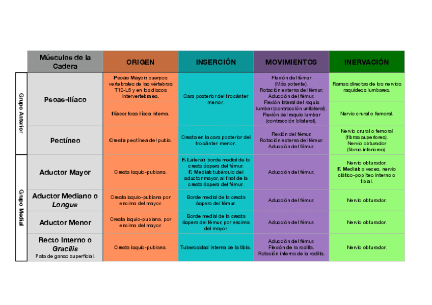 Miniatura del documento RESUMEN-MUSCULOS-MIEMBRO-INFERIOR.pdf