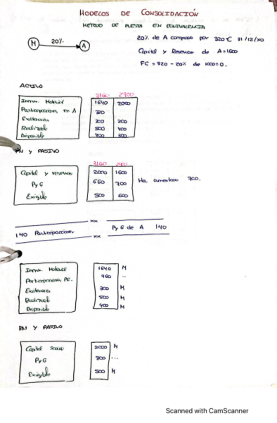 Miniatura del documento Caso-adicional-puesta-en-equivalencia.pdf