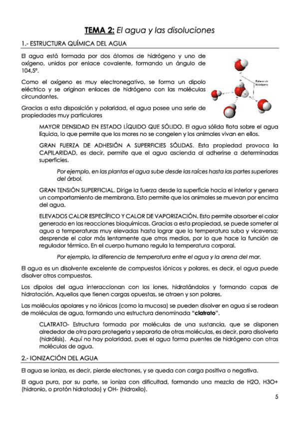 Miniatura del documento TEMA-2-El-agua-y-las-disoluciones.pdf