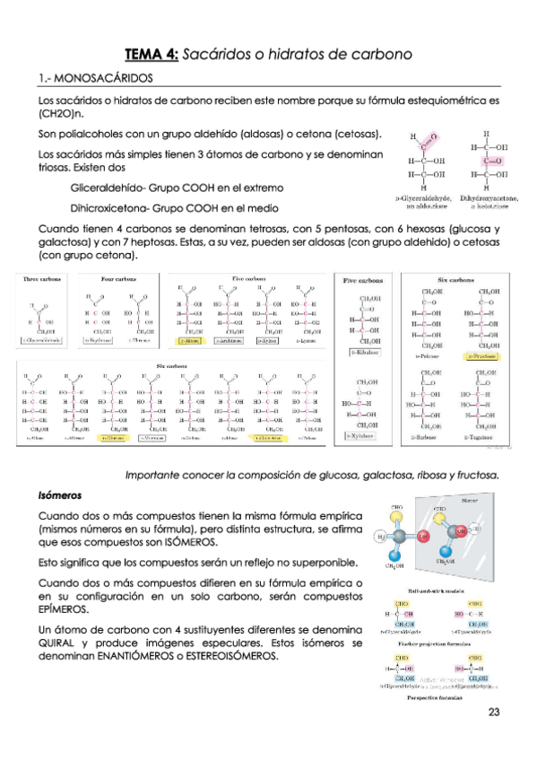 Miniatura del documento TEMA-4-Sacaridos-o-hidratos-de-carbono.pdf