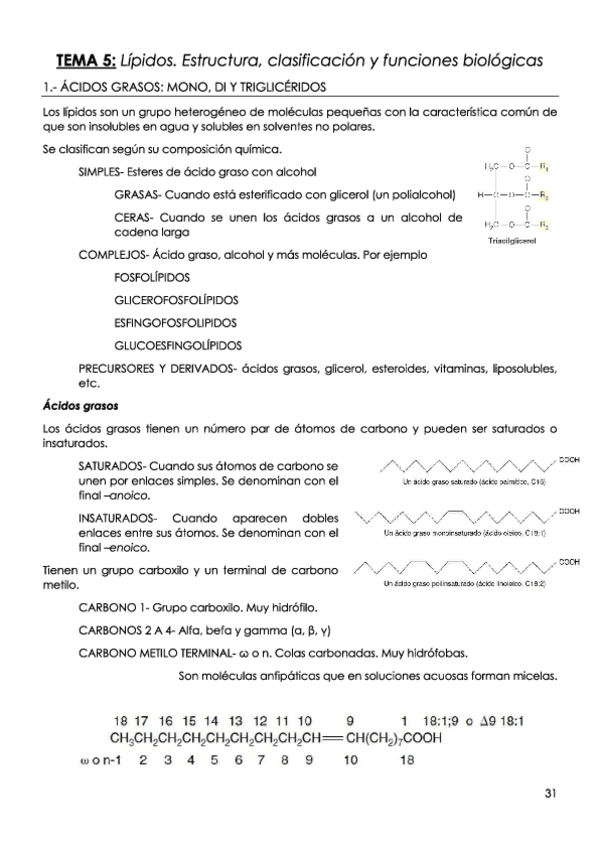 Miniatura del documento TEMA-5-Lipidos.pdf