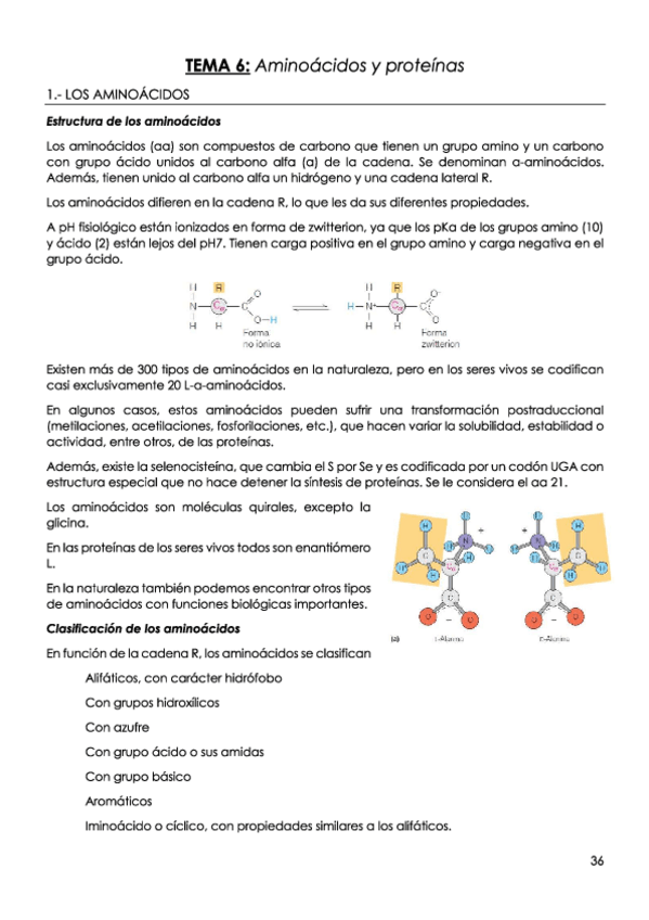 Miniatura del documento TEMA-6-Aminoacidos-y-proteinas.pdf