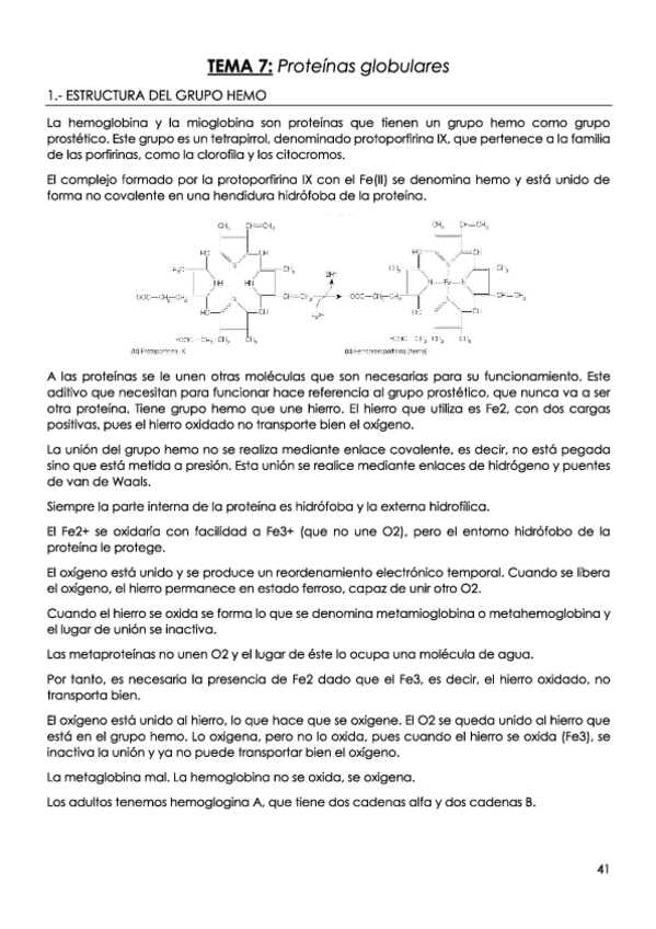 Miniatura del documento TEMA-7-Proteinas-globulares.pdf