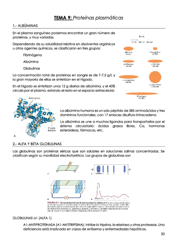 Miniatura del documento TEMA-9-Proteinas-plasmaticas.pdf