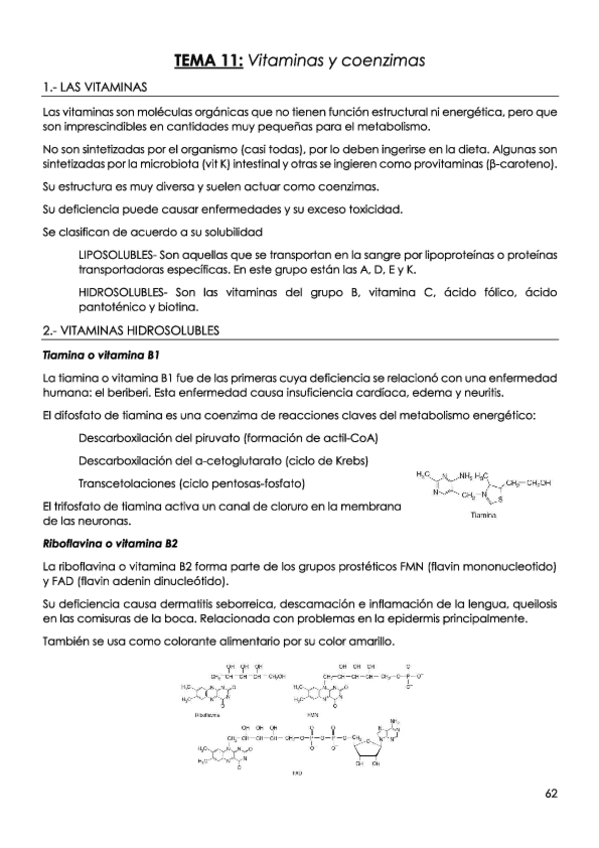 Miniatura del documento TEMA-11-Vitaminas-y-coenzimas.pdf