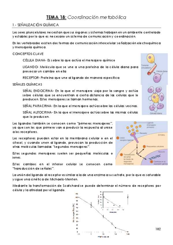 Miniatura del documento TEMA-18-Coordinacion-metabolica.pdf