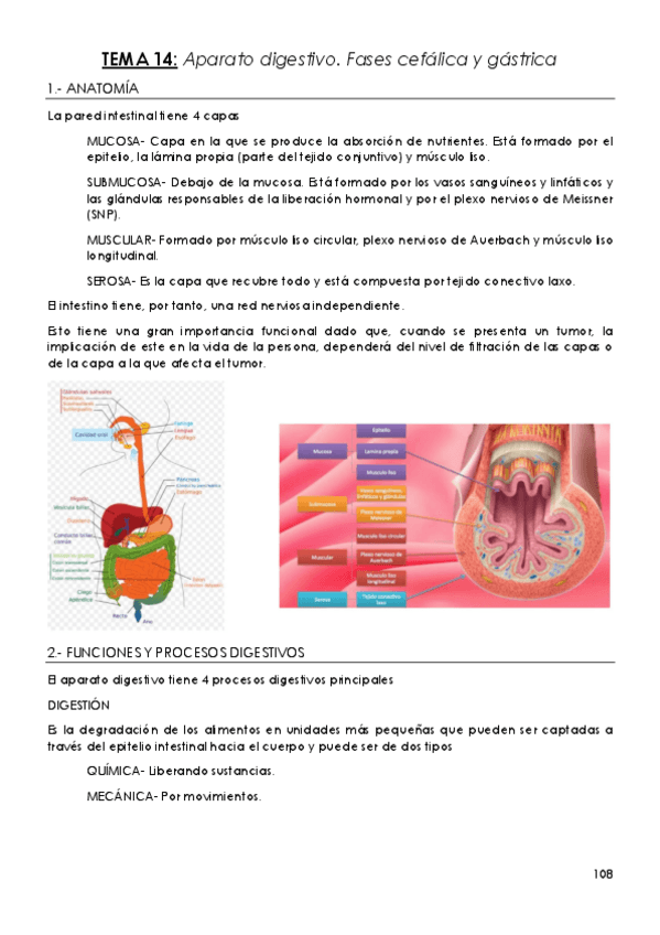Miniatura del documento TEMA-14-Aparato-digestivo.-Fase-cefalica-y-gastrica.pdf