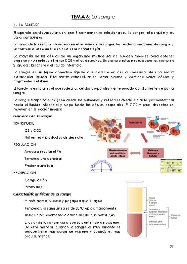 Miniatura del documento TEMA-6-La-sangre.pdf