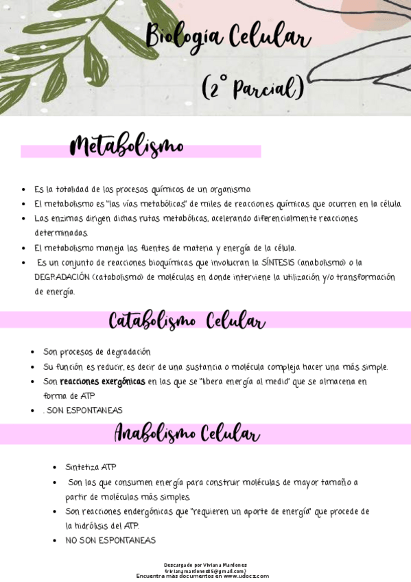 Miniatura del documento biologia-celular.pdf