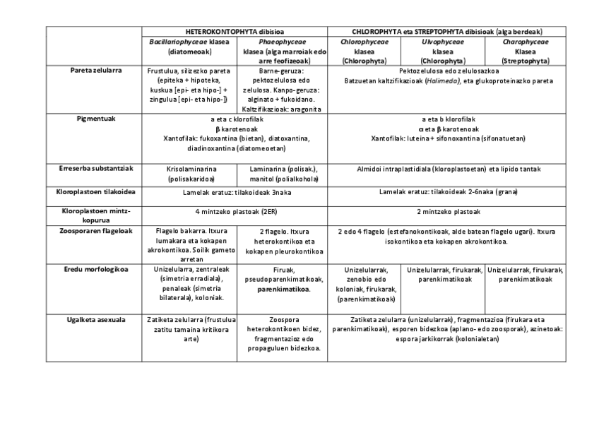 Miniatura del documento Heterokontophyta-Chlorophyta-Streptophyta-eta-Euglenophyta-dibisioak.pdf