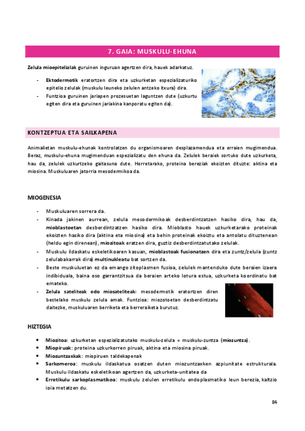 Miniatura del documento 7.-gaia.pdf
