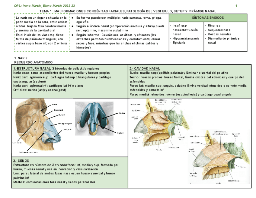 Miniatura del documento Tabla-otorrino-COMPLETA-elena-e-irene.pdf