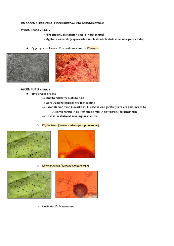 Miniatura del documento Praktiken-kuadernoa.pdf