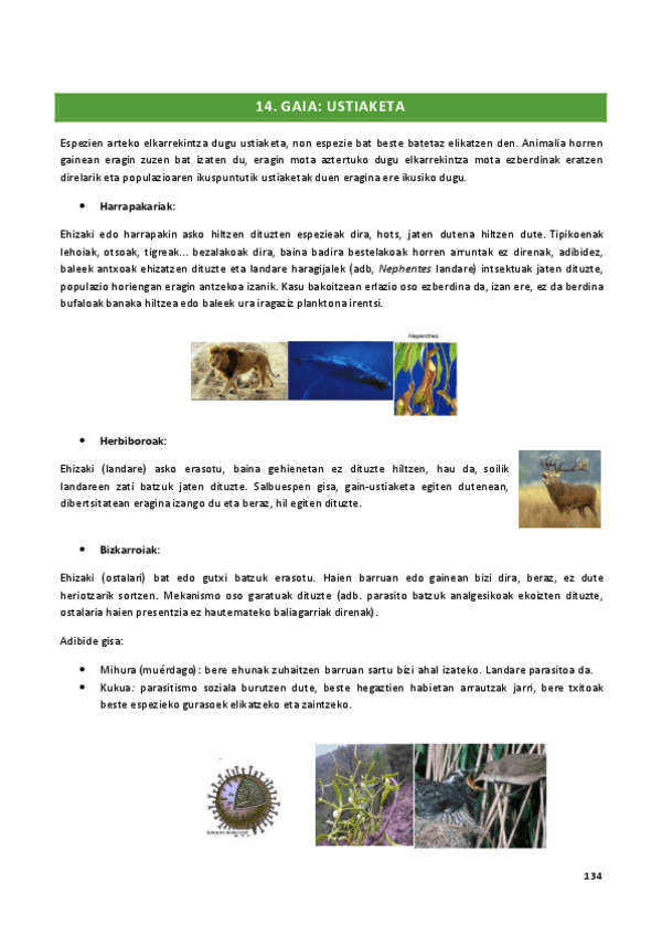 Miniatura del documento 14.-GAIA.pdf