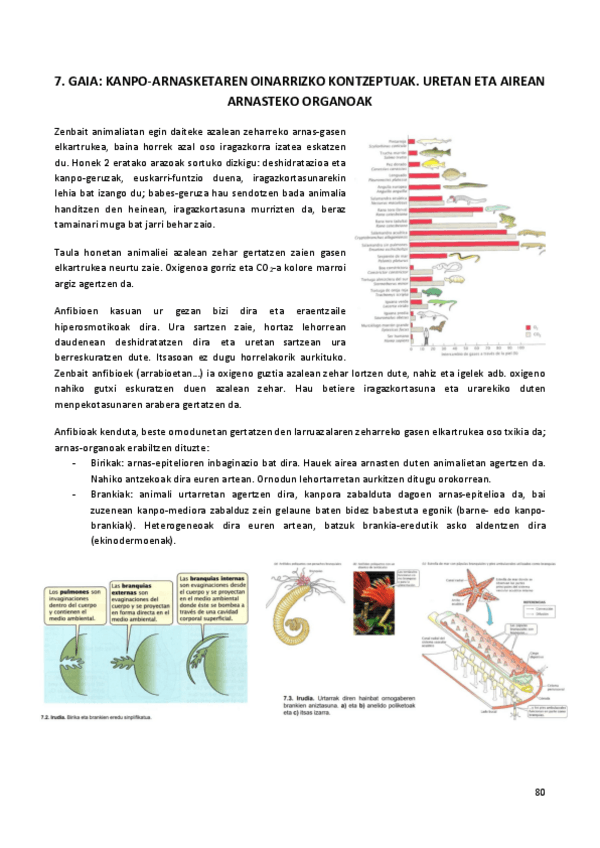 Miniatura del documento 7.-GAIA.pdf