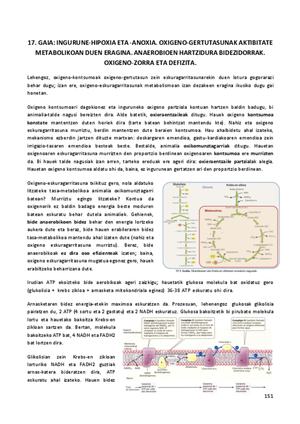 Miniatura del documento 17.-GAIA.pdf