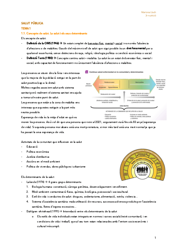 Miniatura del documento Tots-apunts-Salut-publica.pdf
