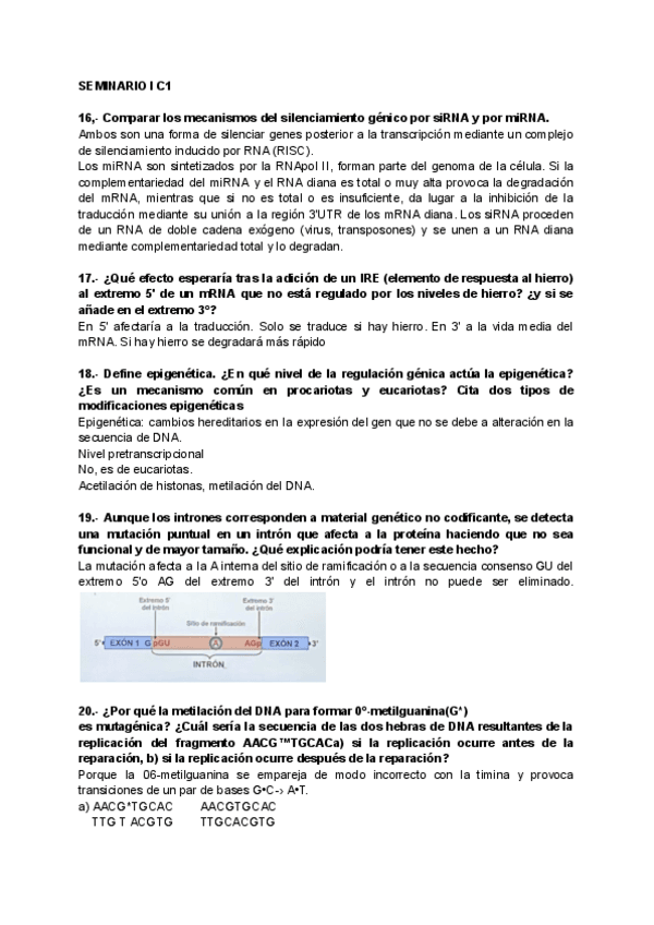 Miniatura del documento bq-cortas-2223.pdf