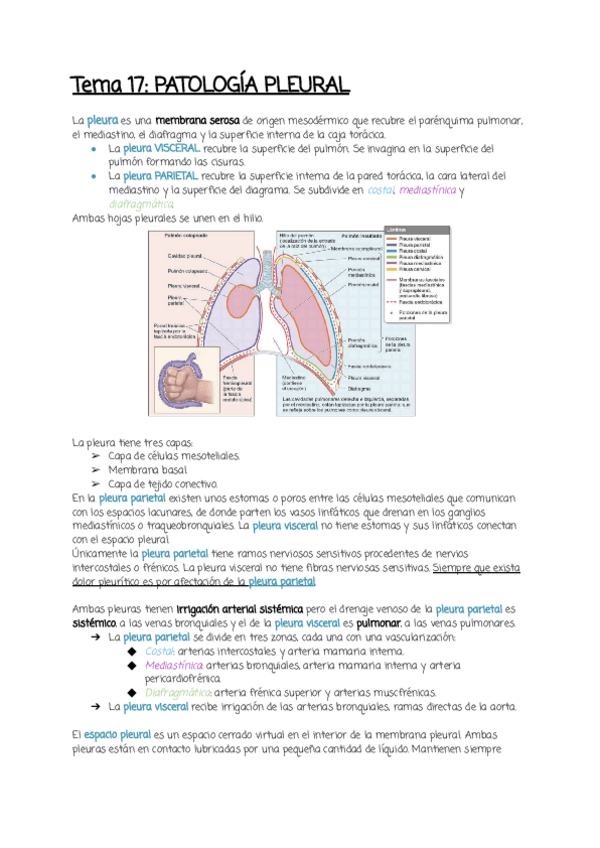 Miniatura del documento Tema-17.pdf