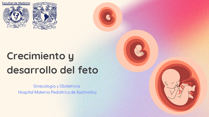 Miniatura del documento Crecimiento-y-desarrollo-del-feto.pdf