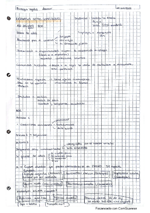 Miniatura del documento apunts-seminari-bolets.pdf