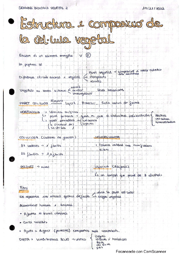 Miniatura del documento apunts-seminari-cellula-vegetal.pdf