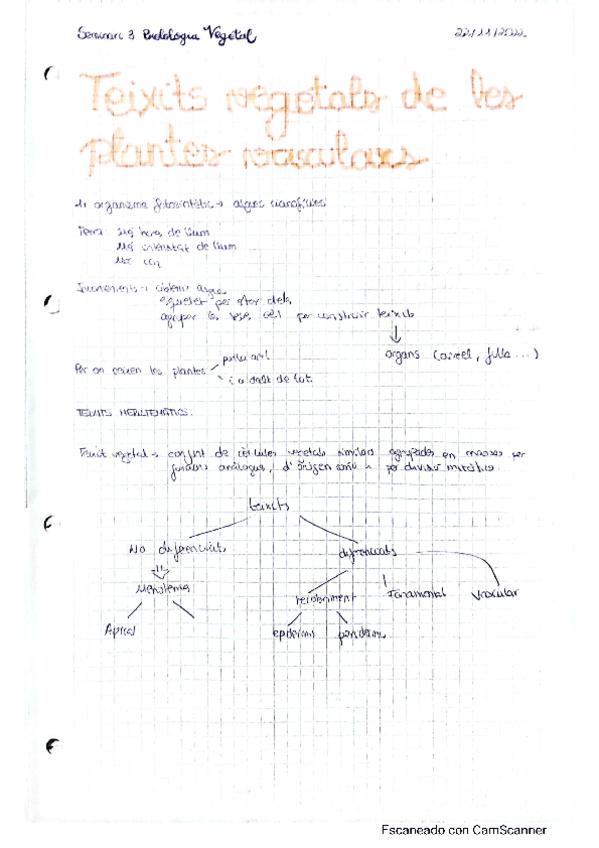 Miniatura del documento apunts-seminari-teixits.pdf