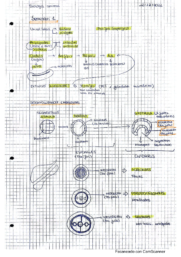 Miniatura del documento seminari-1.pdf