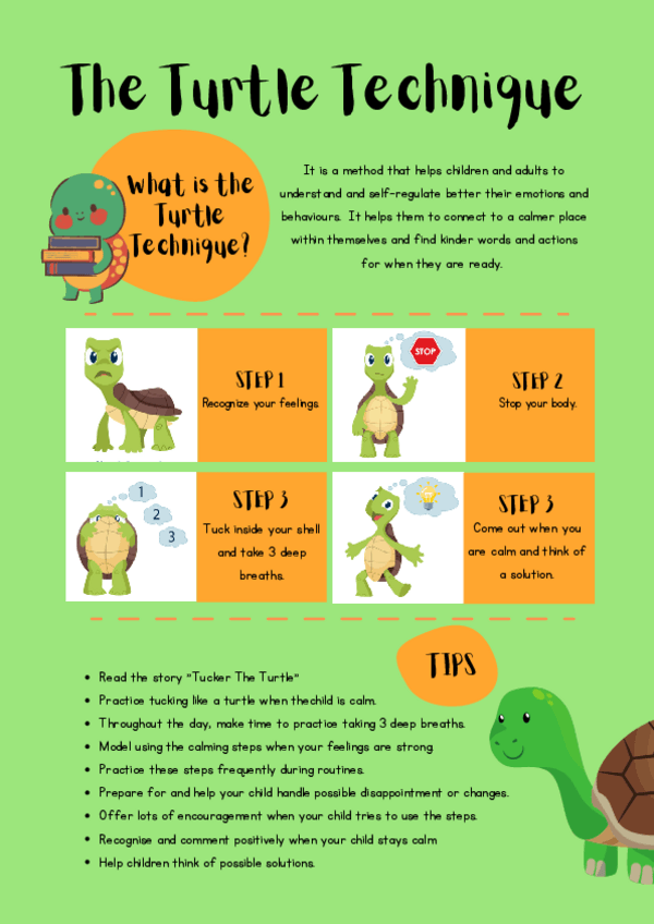 Miniatura del documento TurtleTechniqueBeatrizVazquez.pdf