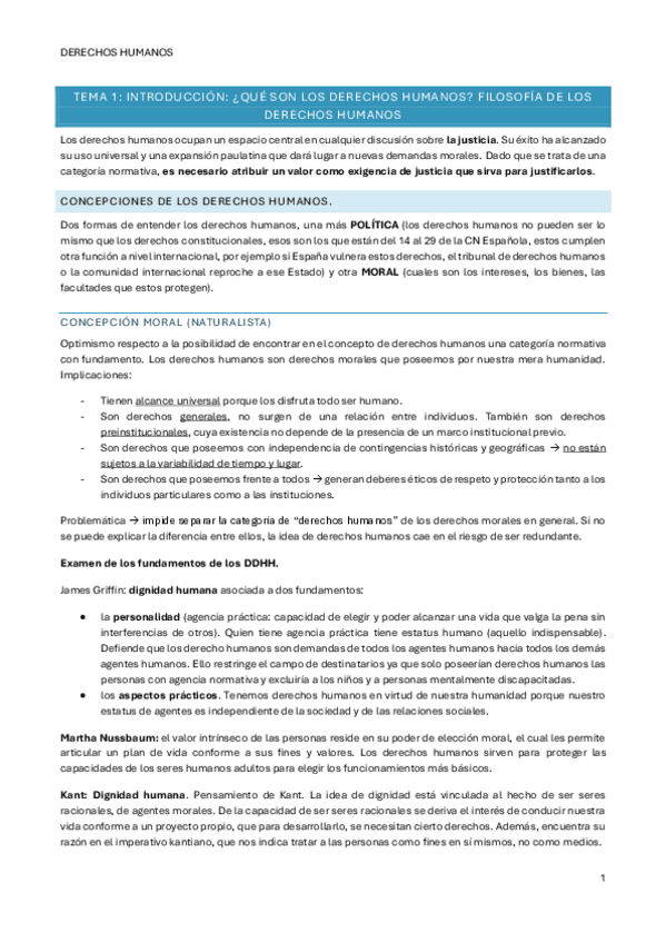 Miniatura del documento DERECHOS-HUMANOS.pdf