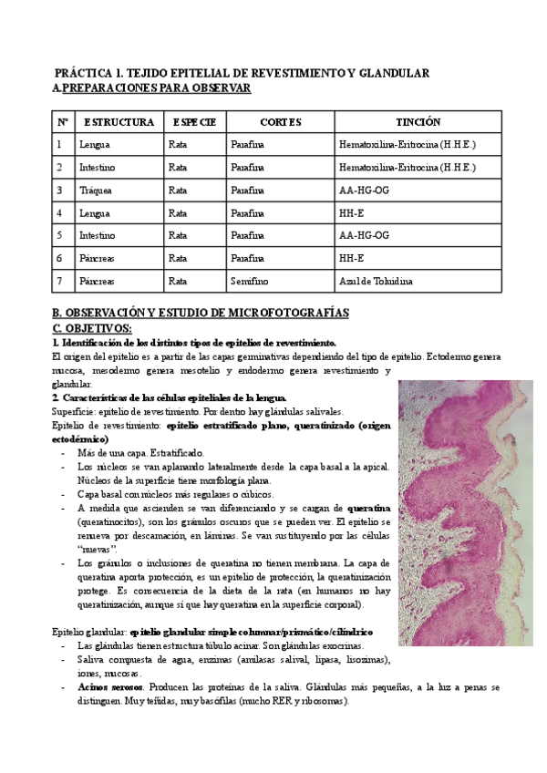 Miniatura del documento Cuestiones-de-Practicas-curso-19-20.pdf