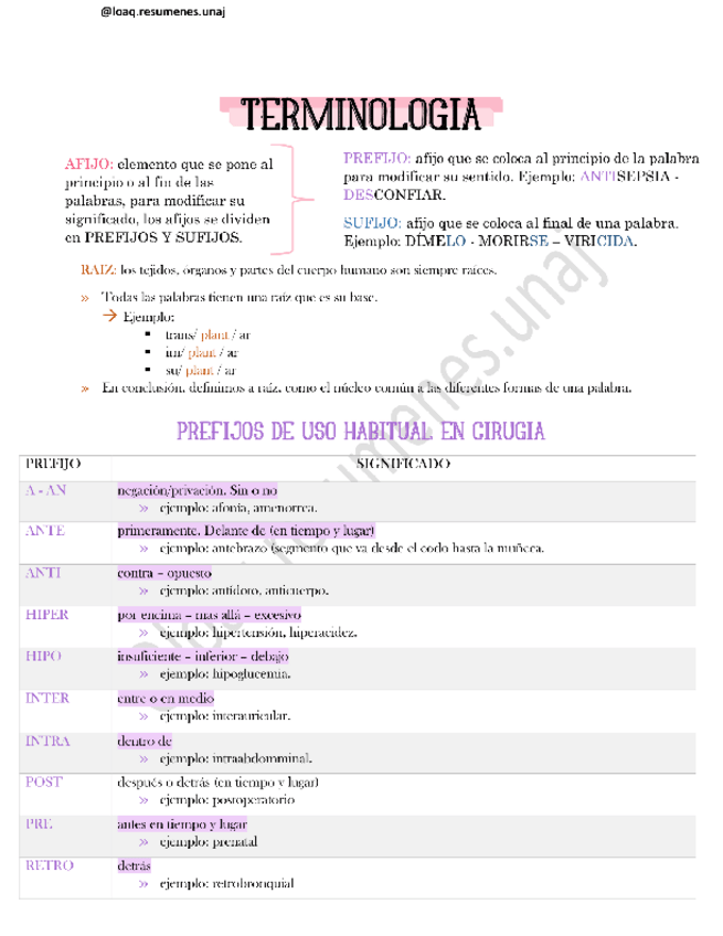 Miniatura del documento TERMINOLOGIA.pdf