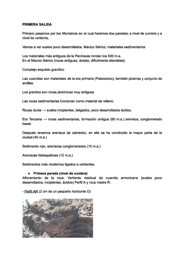 Miniatura del documento Informe-primera-salida.-Edafologia.pdf