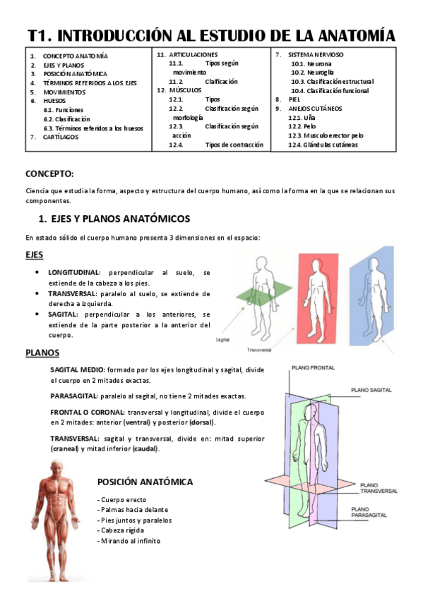 Miniatura del documento T1.-INTRODUCCION-AL-ESTUDIO-DE-LA-ANATOMIA.pdf