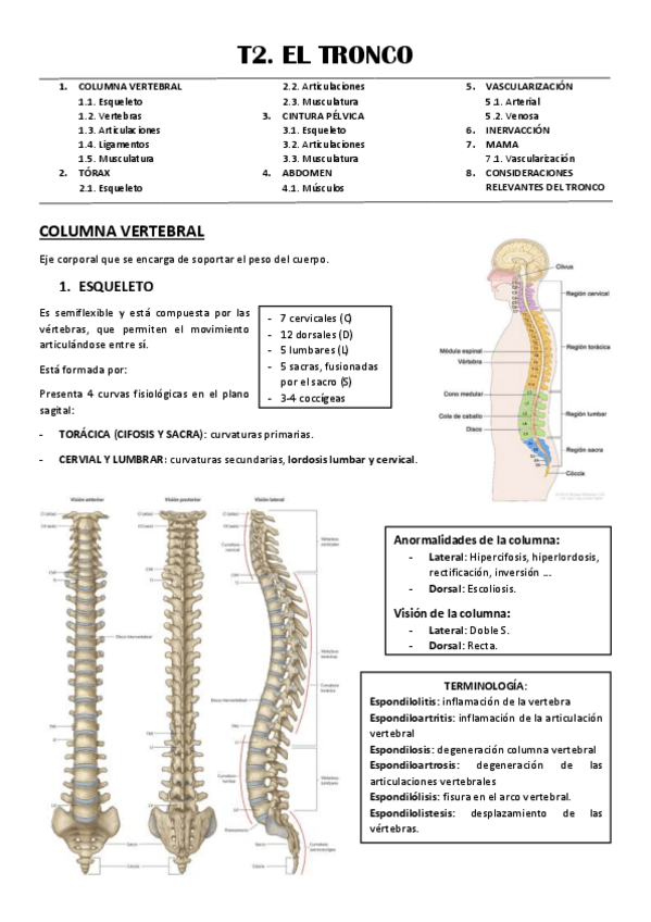 Miniatura del documento T2-EL-TRONCO.pdf
